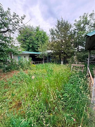 комнаты иссык: 🏡 Продается просторный дом в с. Байтик 📐 Общая площадь — 80 м² 🛏️ 2 — 3