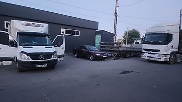 мега авто: Сдаю рефрижератор Mercedes-Benz Sprinter, Почасово — 2