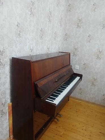 Pianolar: Piano, Belarus, Akustik, İşlənmiş — 4