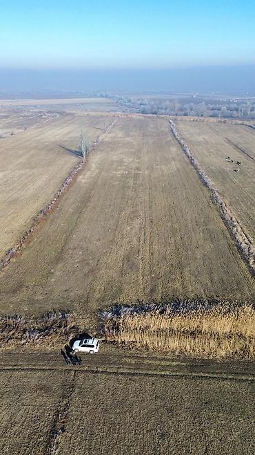 Продажа участков: 280 соток, Для сельского хозяйства — 5