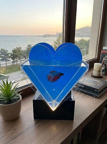 qebr daslari: Məhsul: LED işıqlı ürək formalı mini akvarium - Dizayn: Ürək silueti — 3