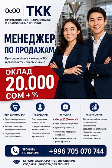 Требуется Менеджер по продажам, График: Пятидневка, Полный рабочий день, Официальное трудоустройство
