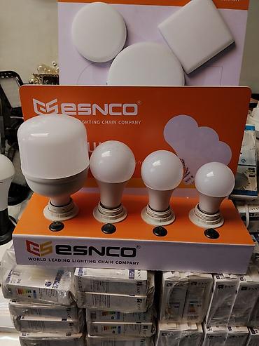 smart led: LED-лампы ESNCO - Бренд: ESNCO (World Leading Lighting Chain Company) — 1