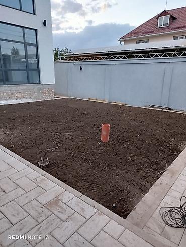 Газон: Сеем газон, Поссев газон, Газон себебиз 🌱 под ключ 🏡по городу бишкек — 2