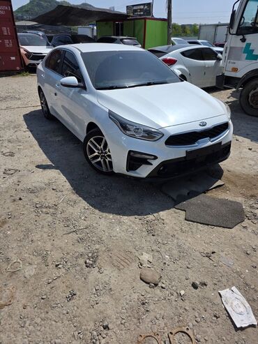Kia: Kia K3: 2019 г., 1.6 л, Автомат, Бензин, Седан