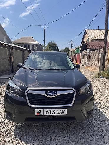 forest: Subaru Forester: 2018 г., Кроссовер — 1