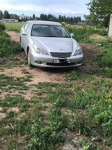 джели авто: Toyota Windom: 2002 г., 0.3 л, Автомат, Бензин, Седан — 2