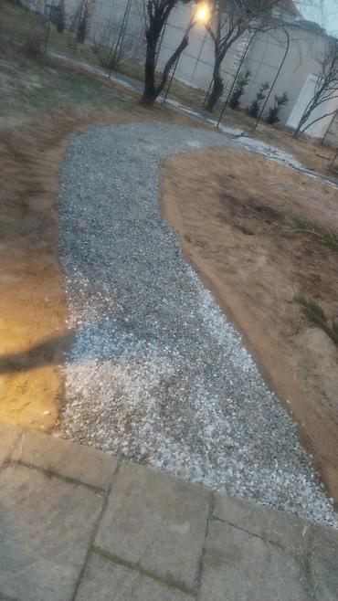 landşaft dizayn: Dizaynı və dekorativ ağac və gül qazon biçilmesi bağlarda alaq — 4