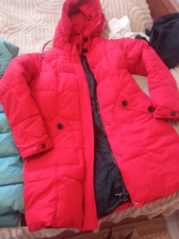 Пуховики и зимние куртки: Пуховик, Длинная модель, Стеганый — 1