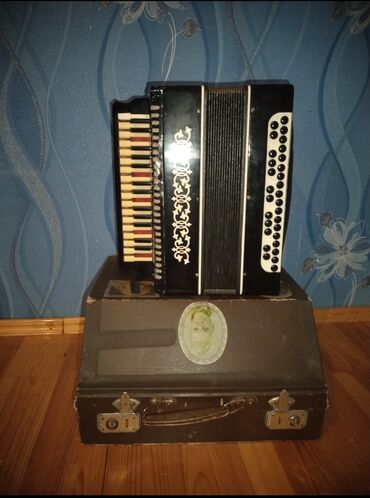 Səs avadanlığı: Akustik Akkordeon
