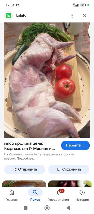 тетрадь 12 листов оптом бишкек: Крольчатина 