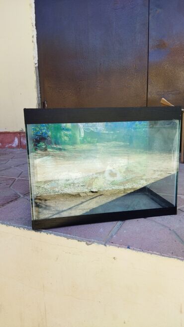 balaca akvarium qiymeti: Akvarium işlənmiş ünvan hövsan