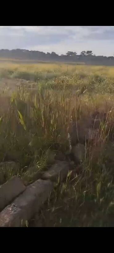 Torpaq sahələrinin satışı: 14 sot, Kənd təsərrüfatı, Mülkiyyətçi, Bələdiyyə — 11