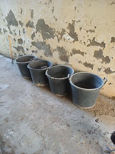 bezek bitkileri: 50 litr tutumlu Plastik dibçəklər satilir. Elastik materialdandi — 3