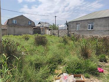 Torpaq: 2 sot yarım Ramanı Şuşa qəsəbəsində torpaq.
99 illik etibarnaməli — 4