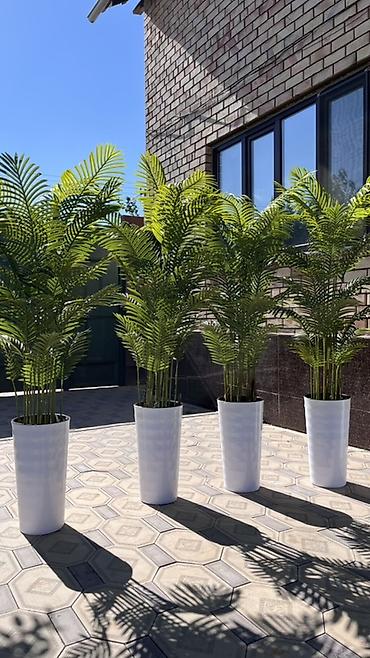 солнечные лампы: Instagram:Mayram.decor.kg Искусственные растения в кашпо для дома — 7