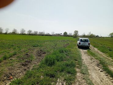 Torpaq sahələrinin satışı: 187 sot, Kənd təsərrüfatı, Barter mümkündür, Texniki pasport -da lalafo.az — 8 Torpaq sahələrinin satışı: 187 sot, Kənd təsərrüfatı, Barter mümkündür, Texniki pasport — 8