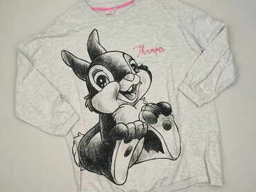Disney, Women`s sweatshirt, size L (EU 40)
