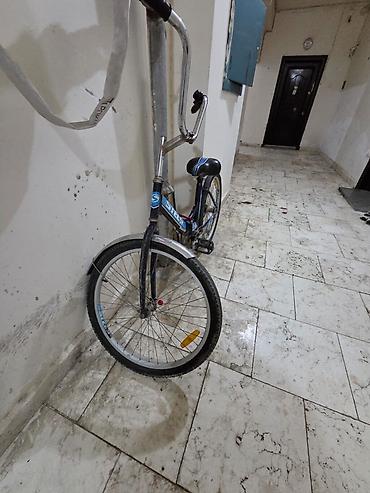 bicycle standart: Stels şəhər/kruser tipli velosiped - Çərçivə: polad, aşağı girişli — 1