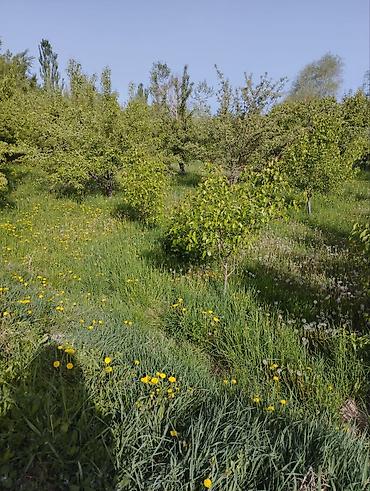 Продажа домов: Дом, 60 м², 4 комнаты, Собственник, Евроремонт — 11