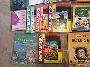 Книги и журналы: Подборка школьных учебников и пособий разных лет и классов. В набор — 1