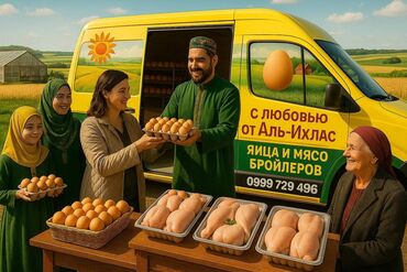 яйца индюка: 🥚 Без посредников! Прямая продажа! Продаются свежие местные яйца в г