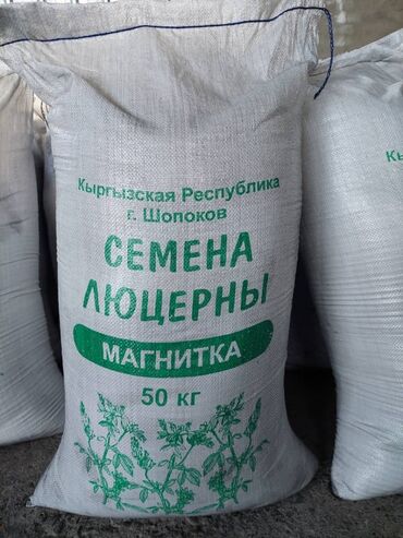 Дом и сад: Семена люцерны Беде урук, кара беде Гарантия качества Многолетний