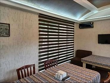 Jalüzlər: Zebra jalüz pərdələr - İkili qatlı, zolaqlı (zebra) mexanizm: şəffaf — 2