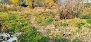 прадаю дом сокулукски село гавриловка срочна: 6 соток, Для строительства, Красная книга, Договор купли-продажи