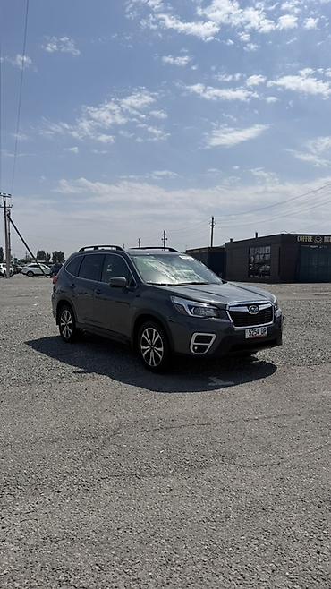 outback 2004: Subaru Forester: 2020 г., Кроссовер — 3
