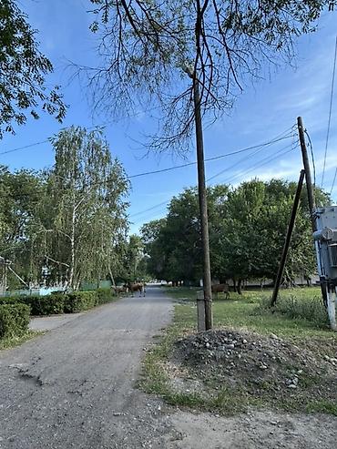 каретный двор: 10 соток, Для строительства — 8
