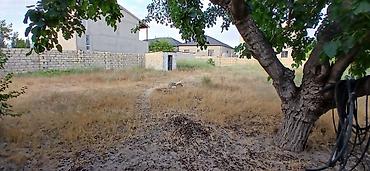 müşfiqabad ev satışı: 12 sot həyət, həyətin iki fərqli yola çıxışı var Əsas yoldan 100 metr — 6