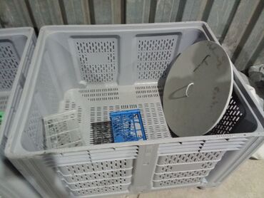 paddon aliram: Bütün növ plastik yeşiklərin topdan satişı