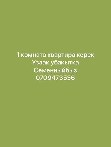 1 комнатная квартира на длительный срок: 1 комната, Без подселения