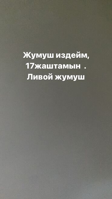 америка работа: Другие специальности