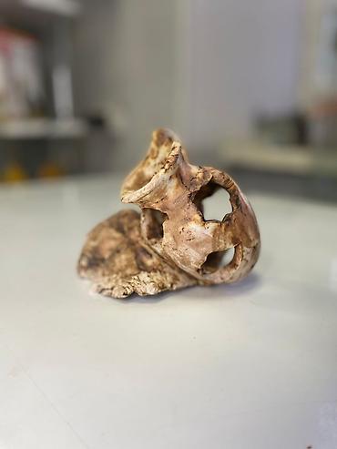 Аквариумы: Украшения для аквариума Большой выбор аквариумных украшений — 6