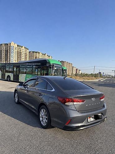 sonat: Hyundai Sonata: 2017 г., 2 л, Автомат, Газ, Седан — 3