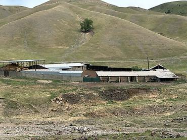 Продажа участков: 100 соток, Красная книга — 10