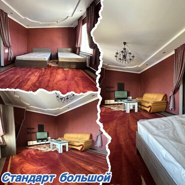 Отели и хостелы: Гостевой Дом «Лотос» Чистые уютные номера, рады видеть старых и новых at lalafo.kg — 7 Отели и хостелы: Гостевой Дом «Лотос» Чистые уютные номера, рады видеть старых и новых — 7