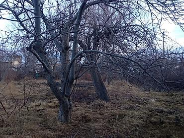 Продажа участков: 13 соток, Красная книга — 8