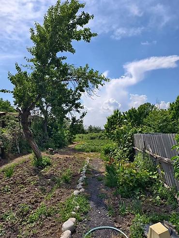 8 соток, Красная книга at lalafo.kg 8 соток, Красная книга