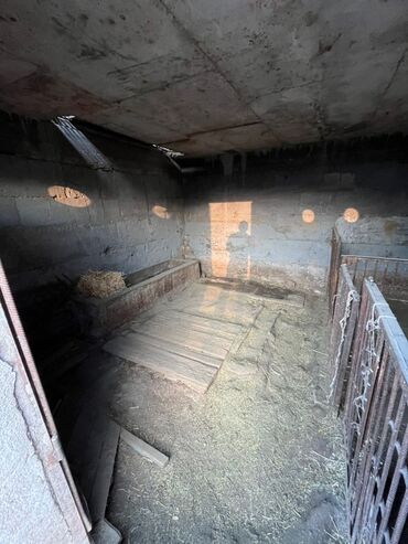 Продажа домов: Дом, 150 м², 7 комнат — 41