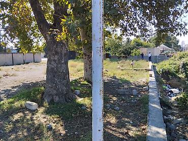 kirayə ev 20 ci sahə: 42 sot, Biznes üçün, Makler, Kupça (Çıxarış) — 8