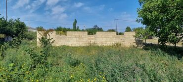 Torpaq sahələrinin satışı: 10 sot, Tikinti, Mülkiyyətçi, Kupça (Çıxarış) — 7