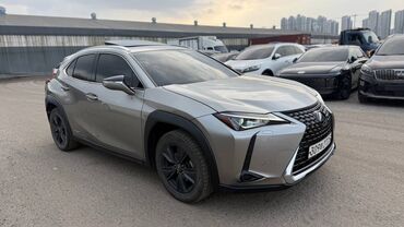 Lexus: Lexus : 2021 г., 2 л, Автомат, Гибрид, Кроссовер — 7