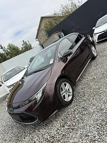 Toyota Corolla: 2020 г., Гибрид, Седан