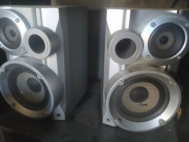 Mikrofonlar: İşlənmiş Kolonka, Növ - Akustik, rəng - Boz