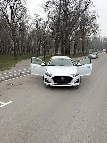 гур на хендай солярис: Hyundai Sonata: 2019 г., 2 л, Автомат, Газ, Седан — 6