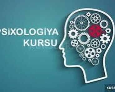 berber iş: 3 resmi sertifikat ve 1 diplomla iş imkanı ile psixologya kursu