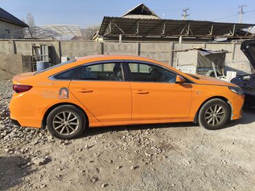 Hyundai: Hyundai Sonata: 2019 г., 2 л, Автомат, Бензин, Седан — 3